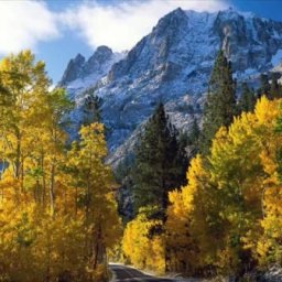 God Has Built A Bridge For You To Cross_0001