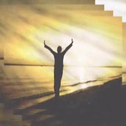 365 Days of Poetic Praise