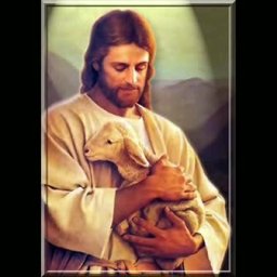 The Lamb In His Arms