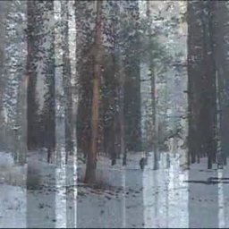 BARE TREES