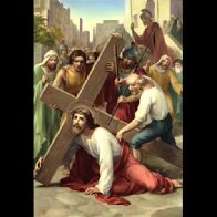 Would You Like Peter