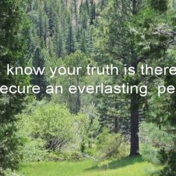 I Will Seek Your Face