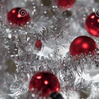 Delight the Light of Christmas Day - deejaniccaG.