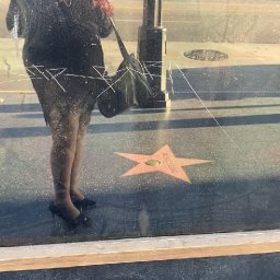 deejaniccaG. on the Hollywood Walk of Fame Video Clip    08/14/20