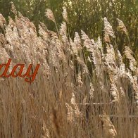 Pray Every Day LYRIC VIDEO