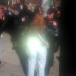 NATASHA GRAHAM ARRESTED 