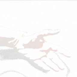 Living Faith