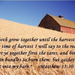 their-foolish-hearts-darkened