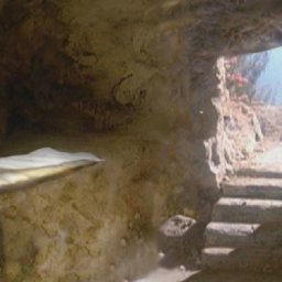 search-for-the-living-among-the-dead