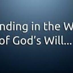 the-meaning-of-life