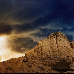 you-reap-what-you-sow