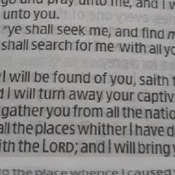 thought-of-peace-towards-you