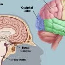 perilous-times-shall-come