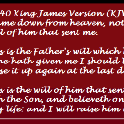 he-that-does-the-will-of-god-abides-forever