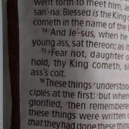 thy-king-cometh-sitting-on-an-asss-colt