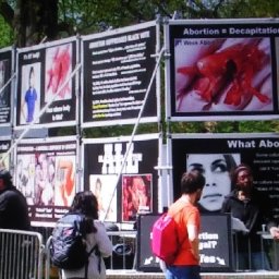 nations-takes-council-against-the-lord