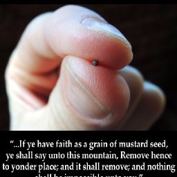 charge-and-publish-without-understanding