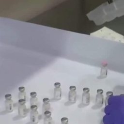 the-flood-of-a-muse-concerning-vaccines