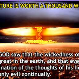 to-view-is-worth-more-than-1000-words