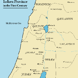 the-genealogy-since-the-ministry-of-christ