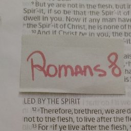 let-not-sin-rain-in-your-flesh