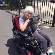 @toria-newman (active)