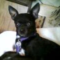 @sissy-moss (active)